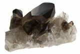 Dark Smoky Quartz Crystal Cluster - Brazil #84308-1